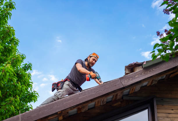 Best Gutter Installation and Repair  in Davison, MI