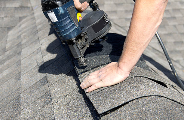 Best Solar Panel Roofing Installation  in Davison, MI