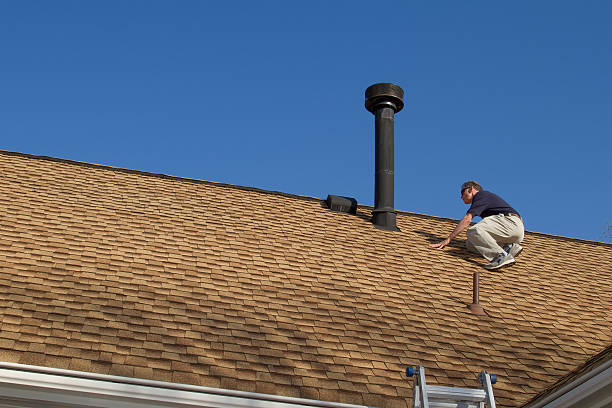 Best Storm Damage Roof Repair  in Davison, MI